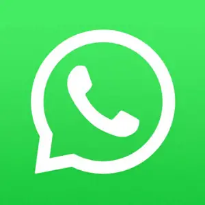 How Does WhatsApp Make Money 
