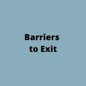 What are Barriers to Entry & Types of Barriers to Entry