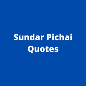 36 Quotes by Sundar Pichai ( Sorted By Category )